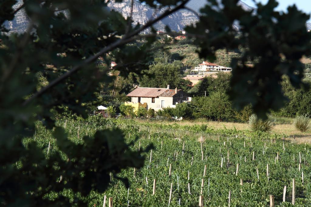 B&B Panta Rei Cicerale Bagian luar foto